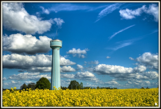 Mai 2012 - tchwouing
Mai 2012 - tchwouing
