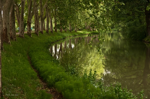 Juin 2012 - Pech_les oies
Juin 2012 - Pech_les oies
