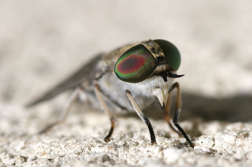 Octobre 2012 - Netgabe
Octobre 2012 - Netgabe
