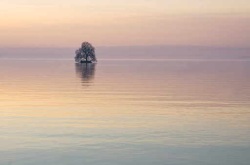 2014-07-05 / Patlaine 
Patlaine    [ Plans d'eau / Rivieres ]
