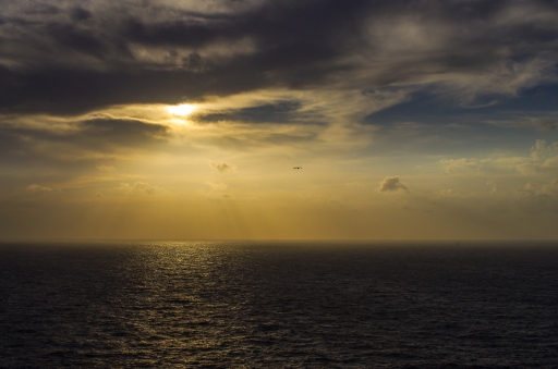 2014-11-01 / I.JUJU
I.JUJU   [ La mer, l'ocean ]
