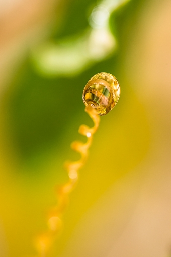 Septembre 2012 - flp
Septembre 2012 - flp
