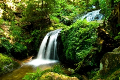 2008-07-31/brandulf 
par : brandulf  [ Plans d'eau / Rivieres ]
