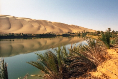 2008-08-21/Gin.net
par : Gin.net   Vos series / Libye
