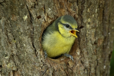 2008-05-22/claude_41
par : claude_41
