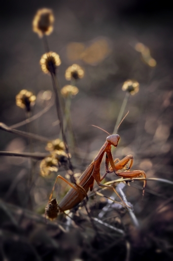 Septembre 2012 - donlope01
Septembre 2012 - donlope01
