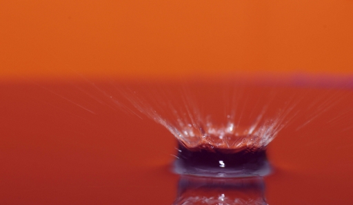 Novembre 2012 - Gko
Novembre 2012 - Gko
