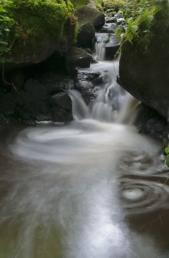 Octobre 2012 - dedales 
Octobre 2012 - dedales
