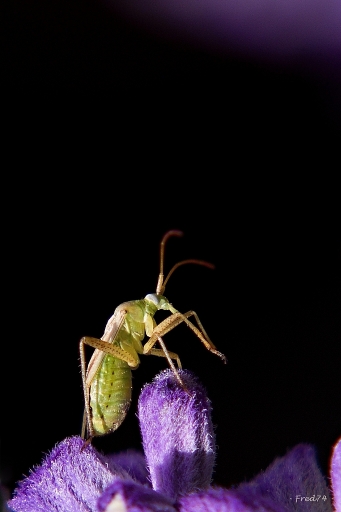 Septembre 2012 - Fred74
Septembre 2012 - Fred74
