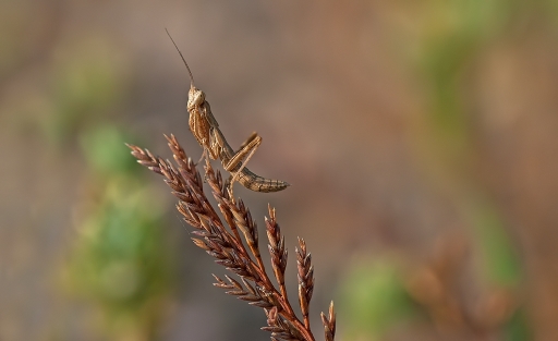 Novembre 2012 - dedales
Novembre 2012 - dedales
