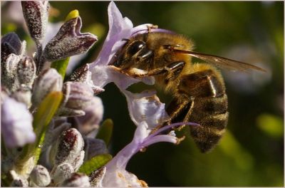 2008-04-30 / jlouis
Par : jlouis
