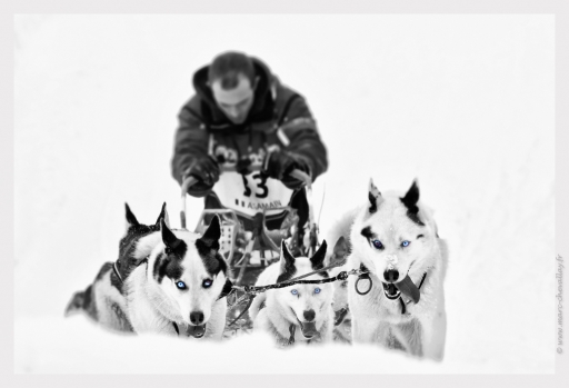 2013-01-17 / randos74
randos74  " La grande odyssee 2013 Haute Savoie "
