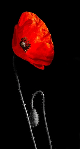 Mai 2012 - dedales
Mai 2012 - dedales
