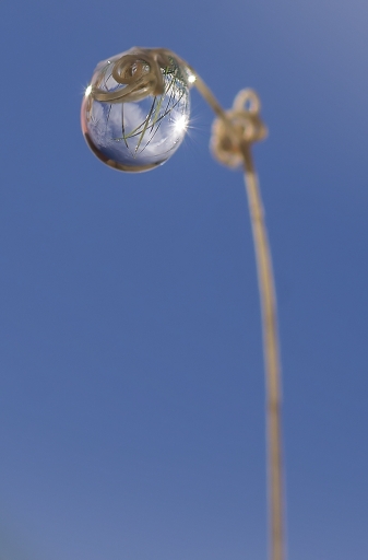 Novembre 2012 -dedales
Novembre 2012 - dedales
