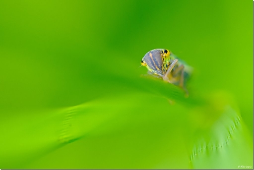 Mars 2012 - irish_mike
Mars 2012 - irish_mike
