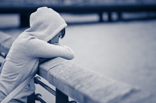 Avril 2012 - Vinny
Avril 2012 - Vinny
