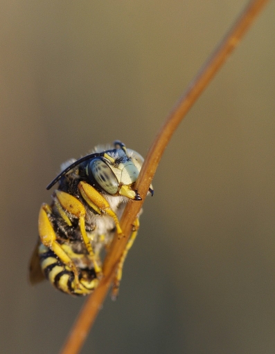 Juillet 2012 - olilignan 
Juillet 2012 - olilignan 
