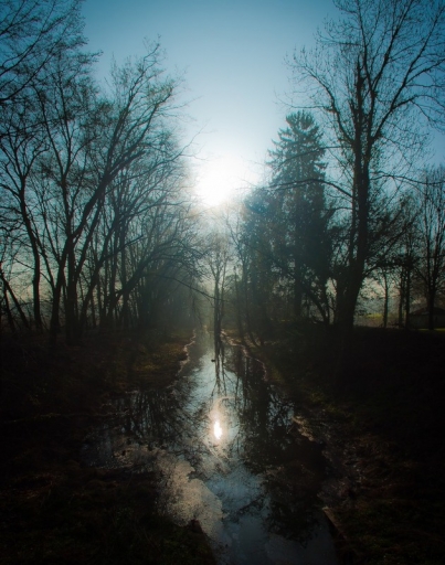 Mars 2012 - Iancurtis  
Mars 2012 - Iancurtis 
