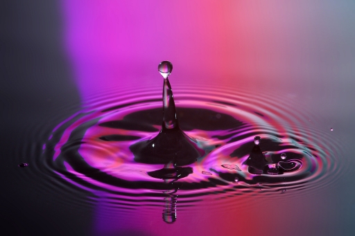 Février 2012 - Momak
Fevrier 2012 - Momak
