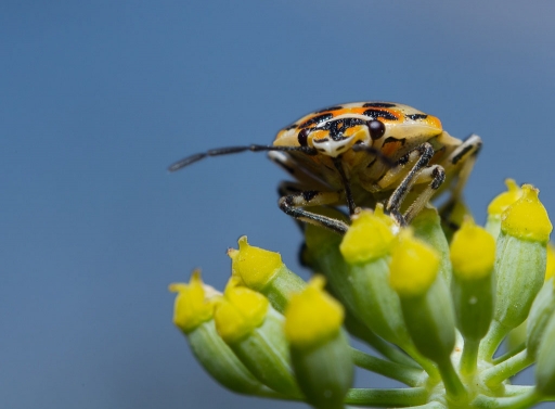 Aout 2012 - phoenix1366
Aout 2012 - phoenix1366
