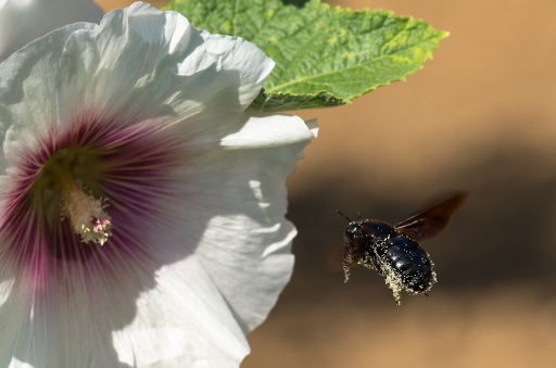 Mars 2012 - miczfr
Mars 2012 - miczfr
