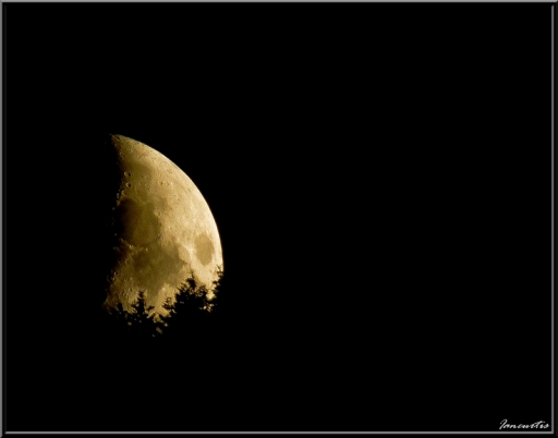 Juillet 2012 - Iancurtis 
Juillet 2012 - Iancurtis 
