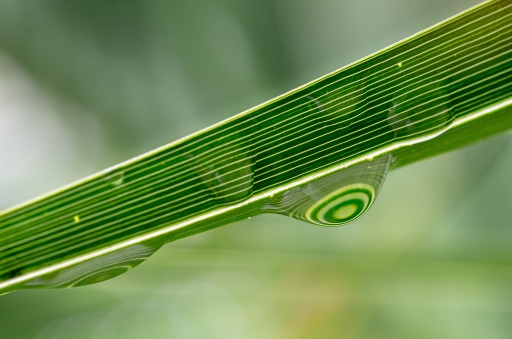 Juin 2012 - miczfr 
Juin 2012 - miczfr 
