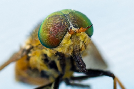 Octobre 2012 -miczfr
Octobre 2012 - miczfr
