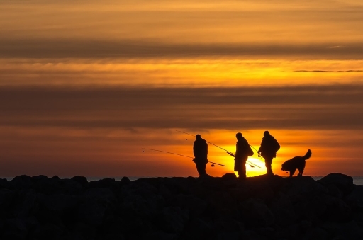 2013-01-31 / olilignan
Par : olilignan    [ Coucher / Lever de soleil ]
