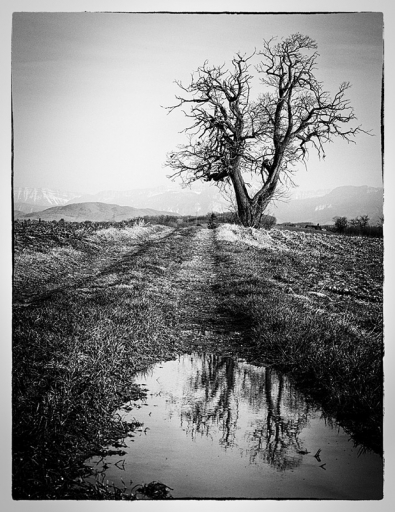 2013-01-03 / genepi
Par : genepi   [ Noir et Blanc, Sepia et desaturation partielle ]
