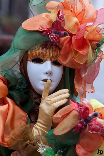 2012-02-02 / jeff67560
Par : jeff67560  [vos series -
Parade venitienne de Rosheim 2012]  
