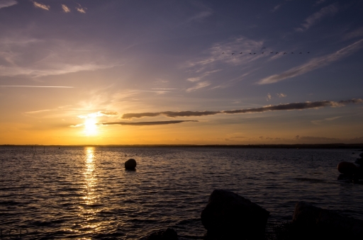 2013-05-23 / raiderdu66 
raiderdu66   [ Coucher / Lever de soleil ]
