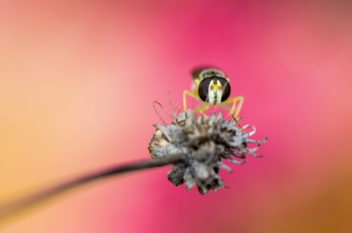 Novembre 2012 - olilignan
Novembre 2012 - olilignan
