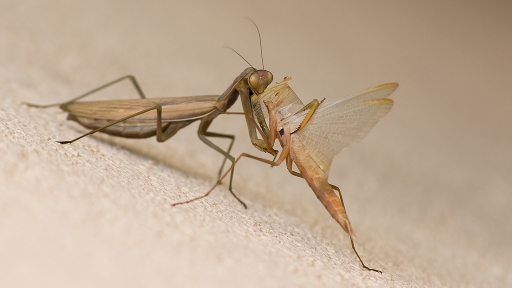 Septembre 2012 - jp49
Septembre 2012 - jp49
