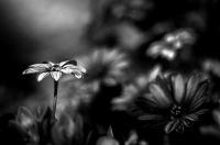 Nom du fichier=140813071755374304.jpg
Taille du fichier=79Ko
Dimensions : 1024x678
Ajouté le : 13 Août 2014 140813071755374304.jpg