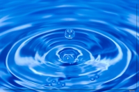 Nom du fichier=2945438482_1161155535_o.jpg
Taille du fichier=168Ko
Dimensions : 800x534
Ajouté le : 15 Octobre 2008 2945438482_1161155535_o.jpg