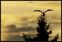 Nom du fichier=4307359471_cbba429f94_o.jpg
Taille du fichier=106Ko
Dimensions : 800x541
Ajouté le : 27 Janvier 2010 4307359471_cbba429f94_o.jpg