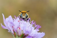 Nom du fichier=4r8e.jpg
Taille du fichier=89Ko
Dimensions : 1024x678
Ajouté le : 20 Juin 2013 4r8e.jpg