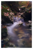 Nom du fichier=YpPqes9R5a.jpg
Taille du fichier=325Ko
Dimensions : 542x800
Ajouté le : 27 Octobre 2012 YpPqes9R5a.jpg