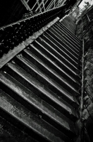 Nom du fichier=_MOO6380.jpg
Taille du fichier=203Ko
Dimensions : 680x1024
Ajouté le : 27 Juillet 2011 _MOO6380.jpg