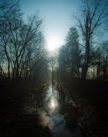 Nom du fichier=imgp5344u.jpg
Taille du fichier=205Ko
Dimensions : 630x800
Ajouté le : 08 Avril 2012 imgp5344u.jpg