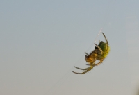 Nom du fichier=120527110146604526.jpg
Taille du fichier=51Ko
Dimensions : 1024x704
Ajouté le : 28 Mai 2012 120527110146604526.jpg