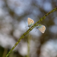 Nom du fichier=78_252_15_32-62815373aaeb3.jpg
Taille du fichier=487Ko
Dimensions : 1280x1277
Ajouté le : 15 Mai 2022 78_252_15_32-62815373aaeb3.jpg