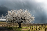 Nom du fichier=8630_10_05_11_5_46_35.jpg
Taille du fichier=226Ko
Dimensions : 1024x680
Ajouté le : 12 Juin 2011 8630_10_05_11_5_46_35.jpg