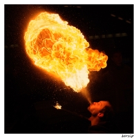 Nom du fichier=IMGP3811a.jpg
Taille du fichier=347Ko
Dimensions : 800x800
Ajouté le : 20 Janvier 2013 IMGP3811a.jpg