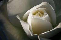 Nom du fichier=exportlr114.jpg
Taille du fichier=96Ko
Dimensions : 1024x683
Ajouté le : 28 Mai 2012 exportlr114.jpg