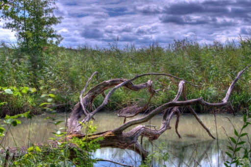 2011-06-14/ deche
Par deche: [Photographies HDR et DRI]
