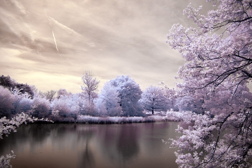 2011-05-10 / President_Roslin
Par: President_Roslin-[Infra rouge]
