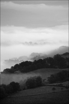 2010-10-06 / lechtra
Par: lechtra - [ Noir et Blanc, Sepia et desaturation partielle ] 
