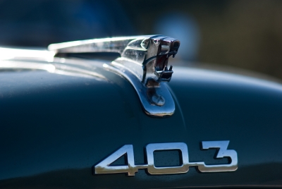 2010-02-01 / Cornichon
Par: Cornichon - [ Voitures / Motos / Moyens de transport terrestres ]
